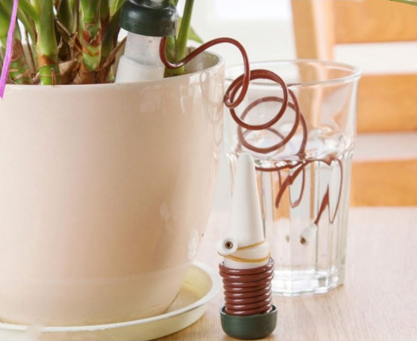 25 regalos locos que puedes comprar en Aliexpress