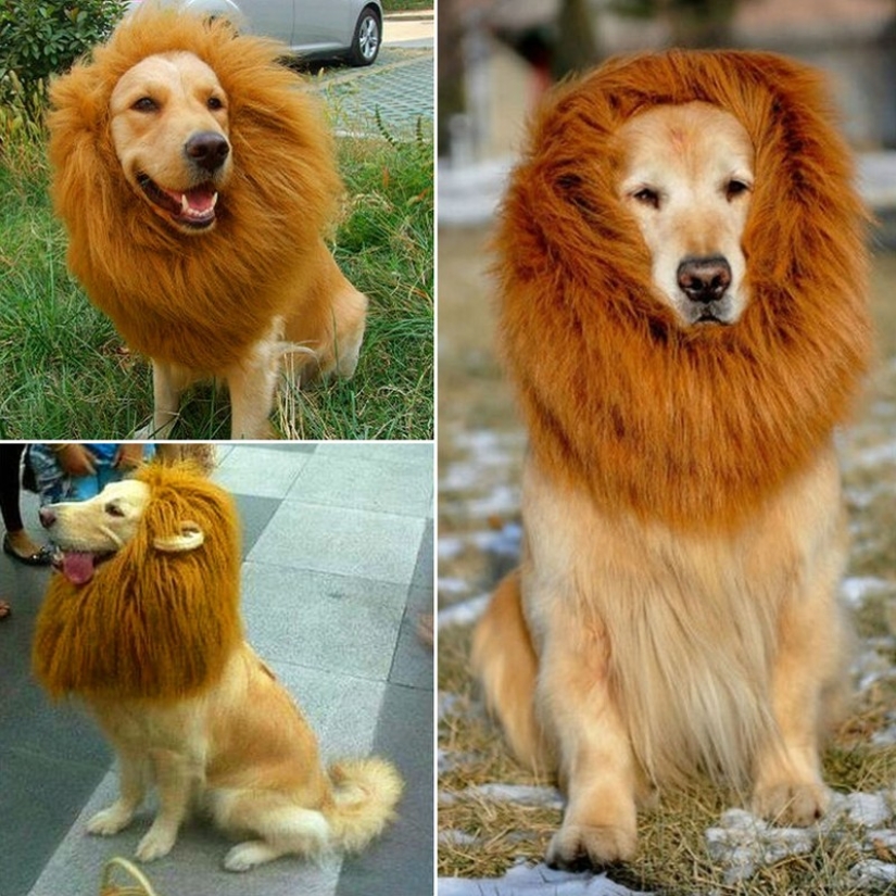 25 regalos locos que puedes comprar en Aliexpress