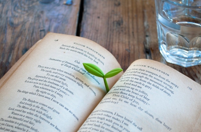 25 regalos locos que puedes comprar en Aliexpress