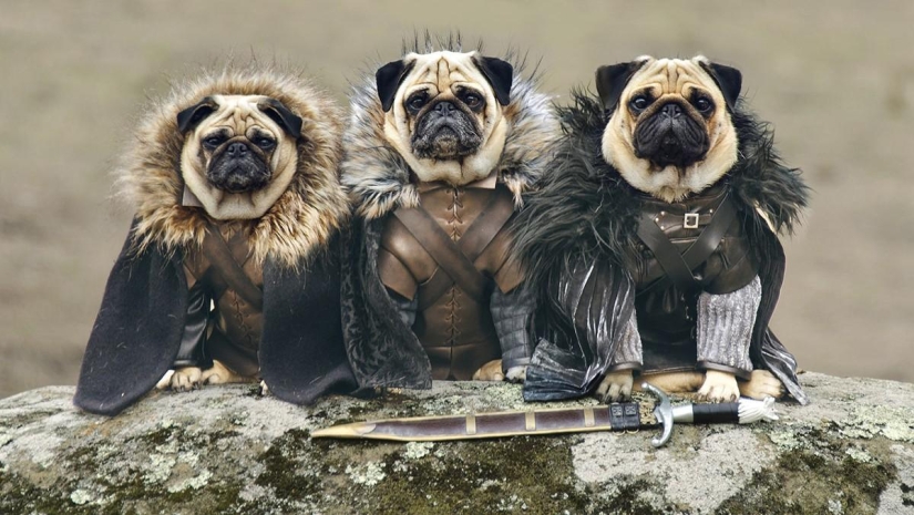 25 tiros más exitosos de junio 25 tiros más exitosos de junio