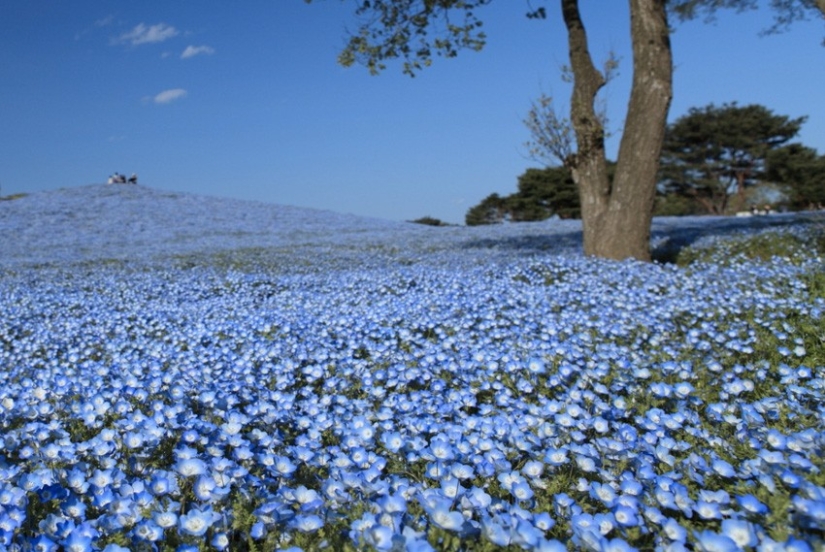 25 tourist destinations you probably haven't heard of 25 tourist destinations you probably haven't heard of