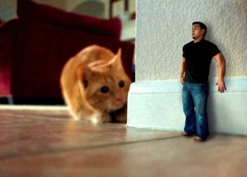 26 Weird Phobias You've Probably Never Heard Of