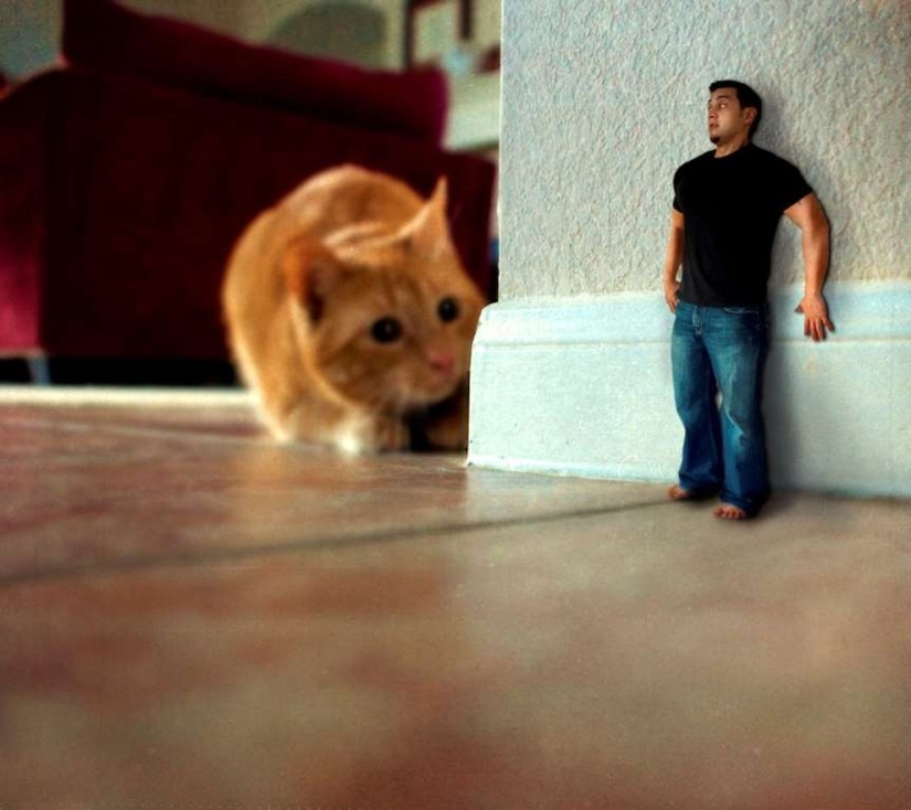 26 Weird Phobias You've Probably Never Heard Of