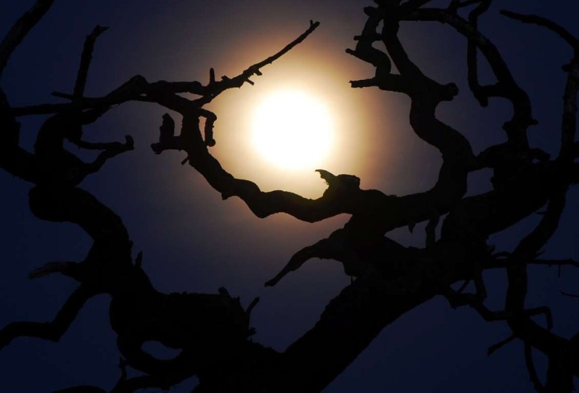 26 Weird Phobias You've Probably Never Heard Of