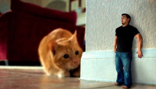 26 Weird Phobias You've Probably Never Heard Of