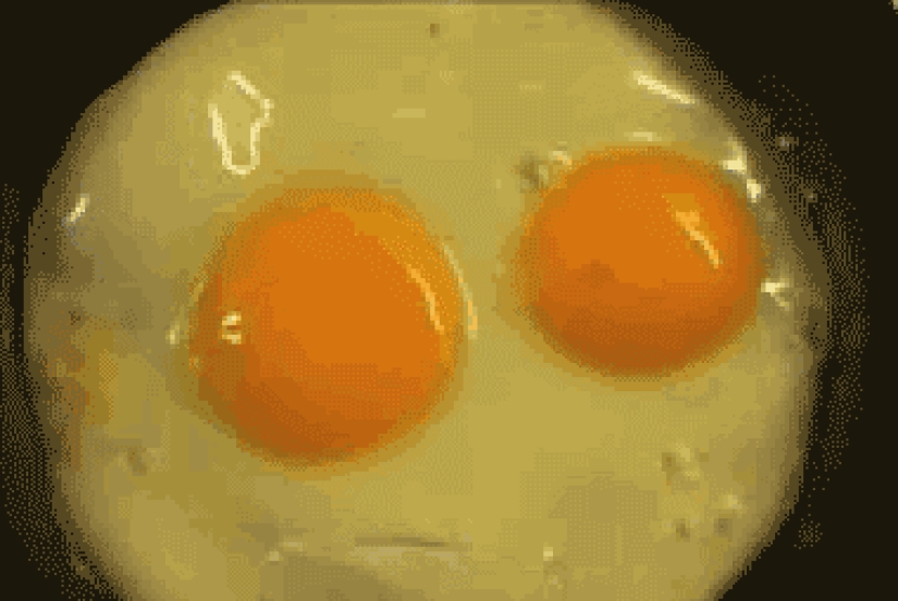 28 foods that desperately don't want to be eaten