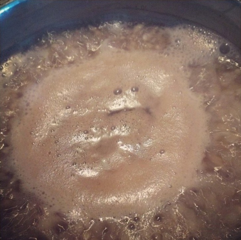 28 foods that desperately don't want to be eaten