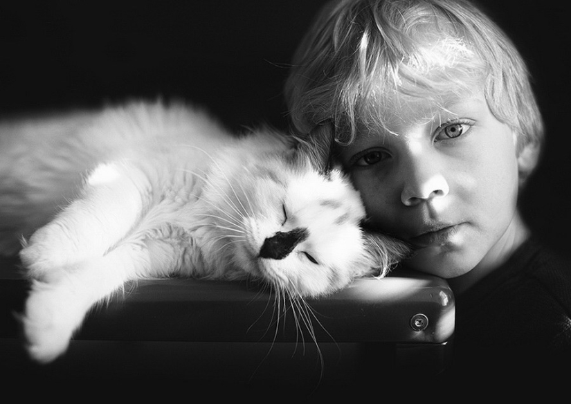 3 + 2. Children and cats photographed by Beth Mancuso