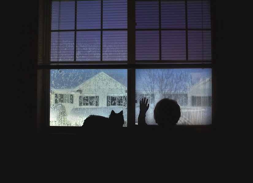 3 + 2. Children and cats photographed by Beth Mancuso