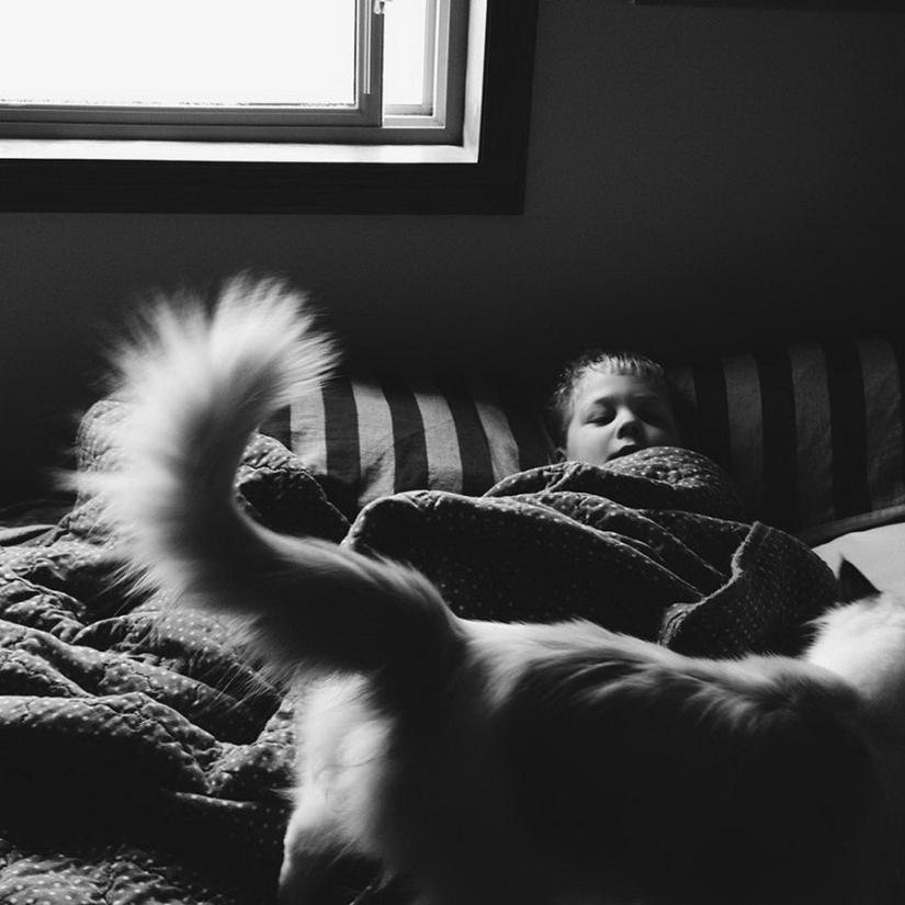 3 + 2. Children and cats photographed by Beth Mancuso