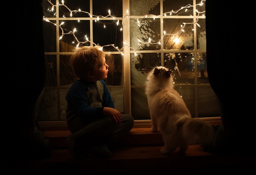 3 + 2. Children and cats photographed by Beth Mancuso