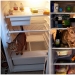 3 best refrigerator photo stories