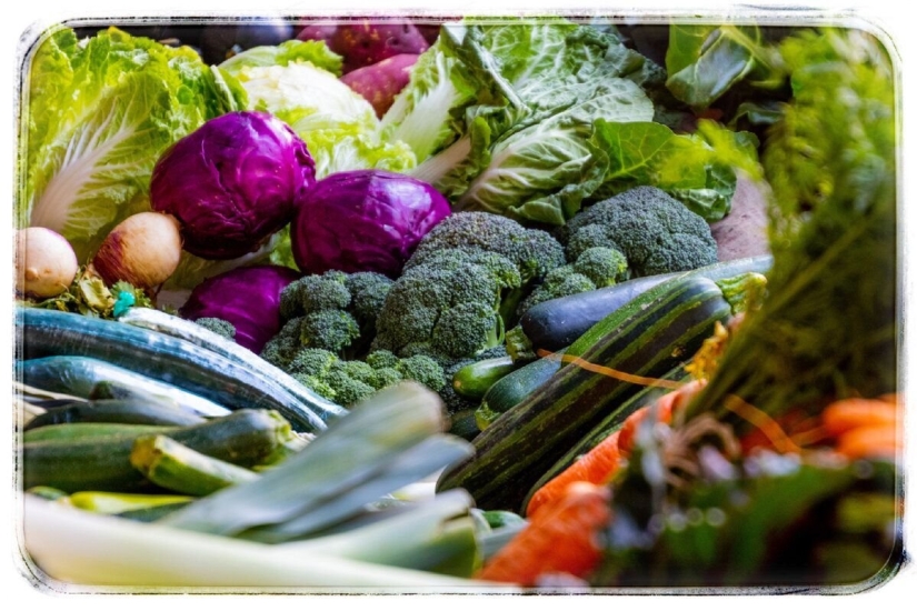 3 daily habits for normal bowel function: what helps the digestive process