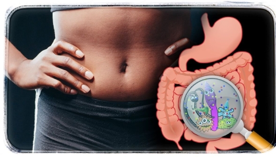 3 daily habits for normal bowel function: what helps the digestive process