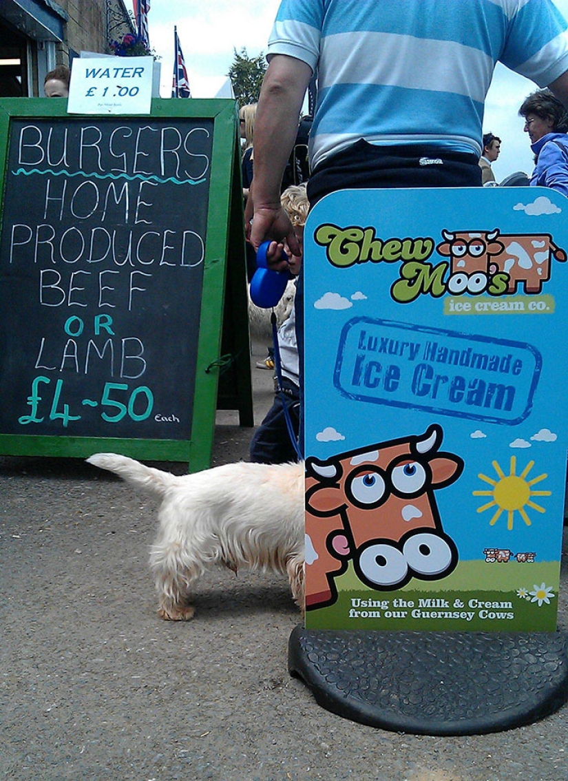 30 fotogramas de fotografía callejera con un momento perfectamente elegido 30 fotogramas de fotografía callejera con un momento perfectamente elegido