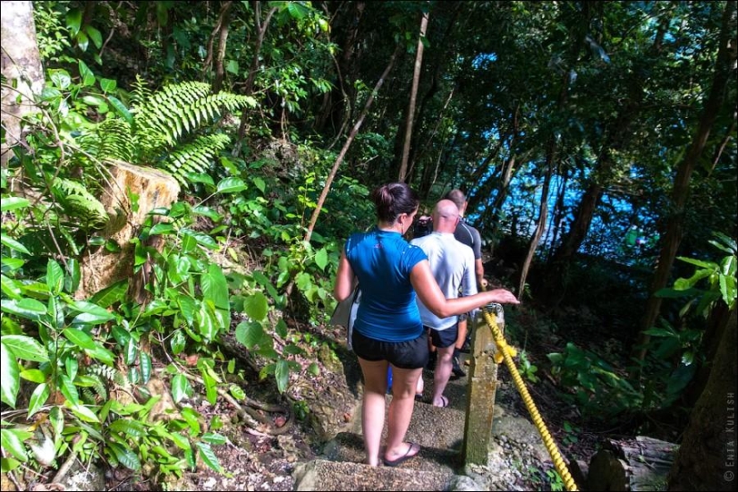 30 fotos de un lago lleno de medusas 30 fotos de un lago lleno de medusas