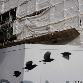 30 frames of street photography with a perfectly chosen moment