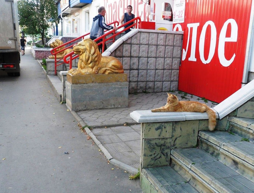 30 frames of street photography with a perfectly chosen moment