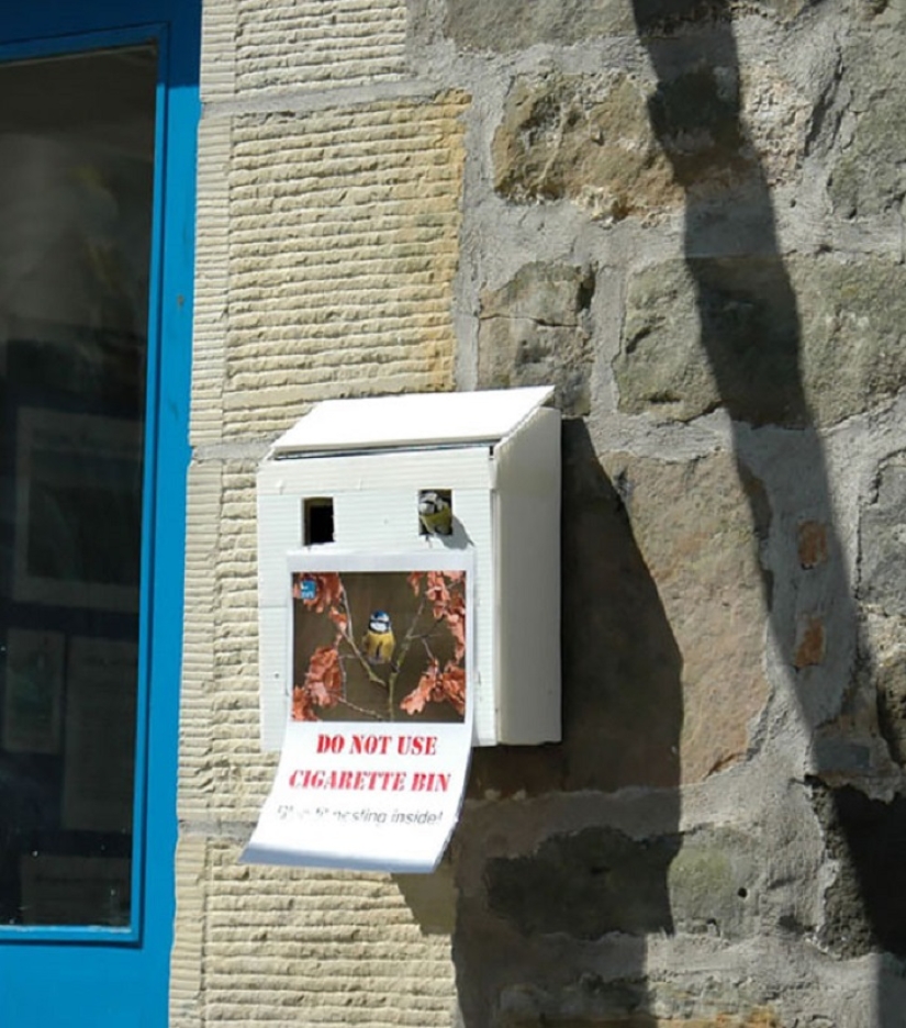 30 nidos en los lugares más extraños 30 nidos en los lugares más extraños