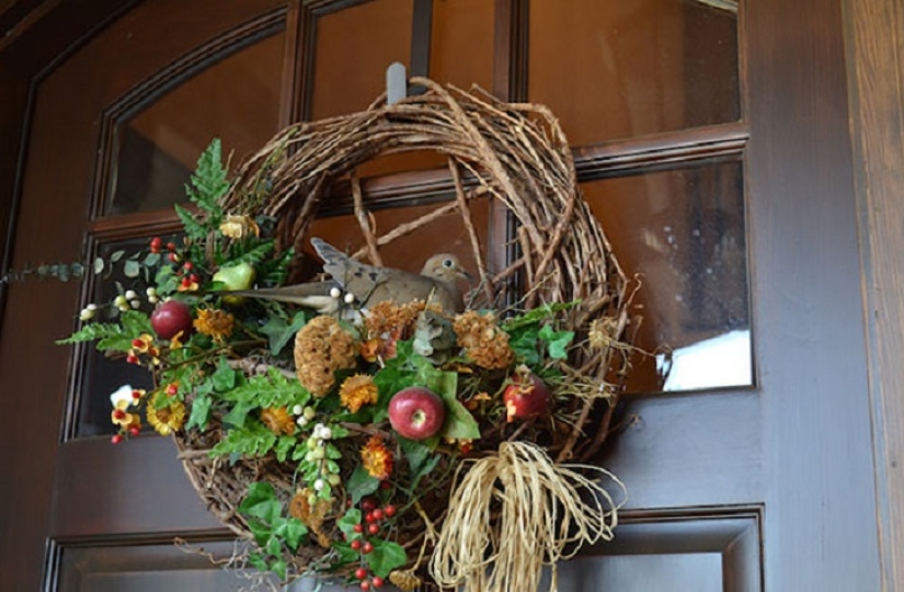 30 nidos en los lugares más extraños 30 nidos en los lugares más extraños