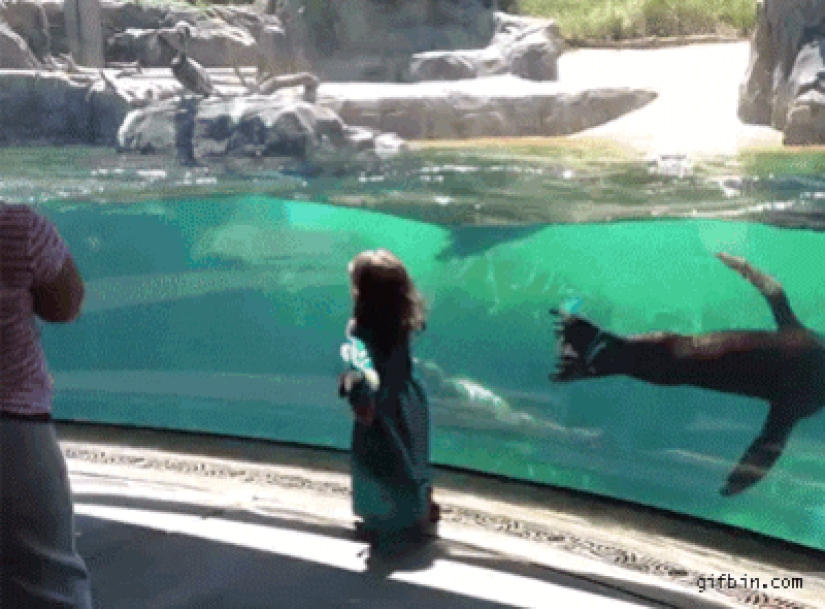 30 people who found friends at the zoo