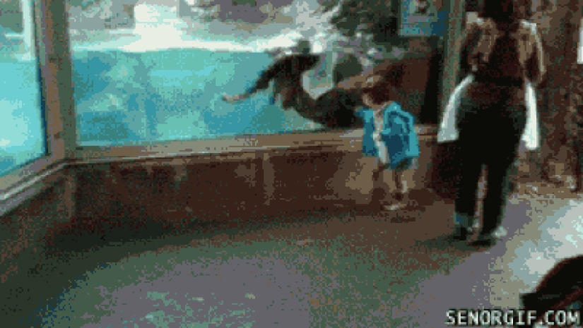 30 personas que encontraron amigos en el zoológico