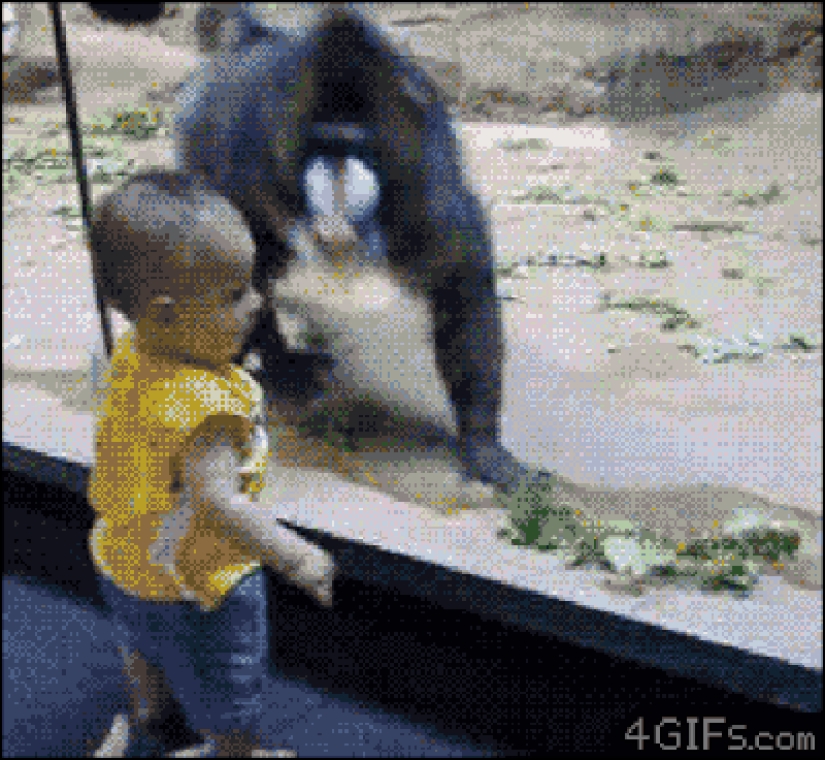 30 personas que encontraron amigos en el zoológico