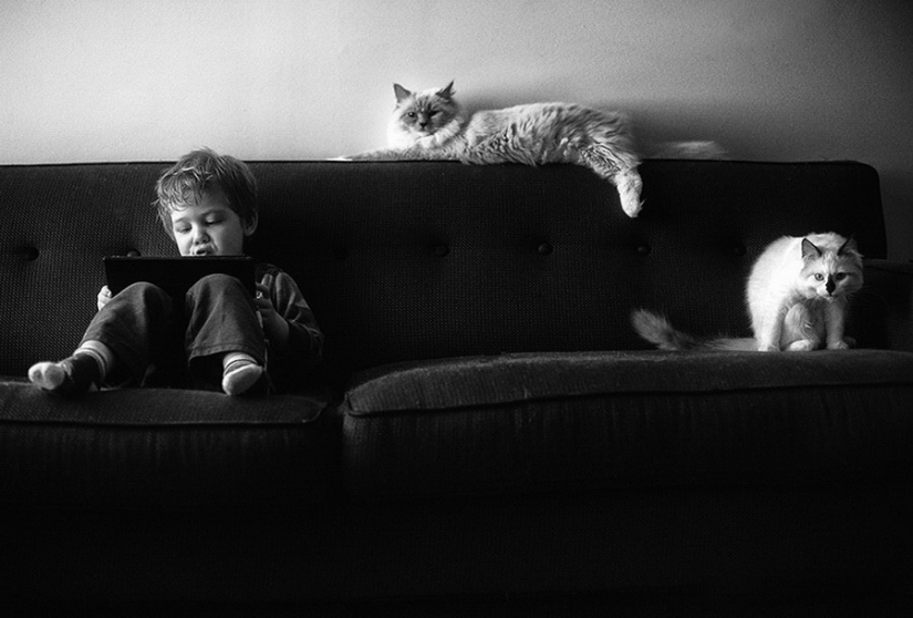 3+2. Niños y gatos fotografiados por Beth Mancuso