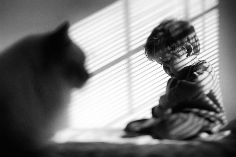 3+2. Niños y gatos fotografiados por Beth Mancuso