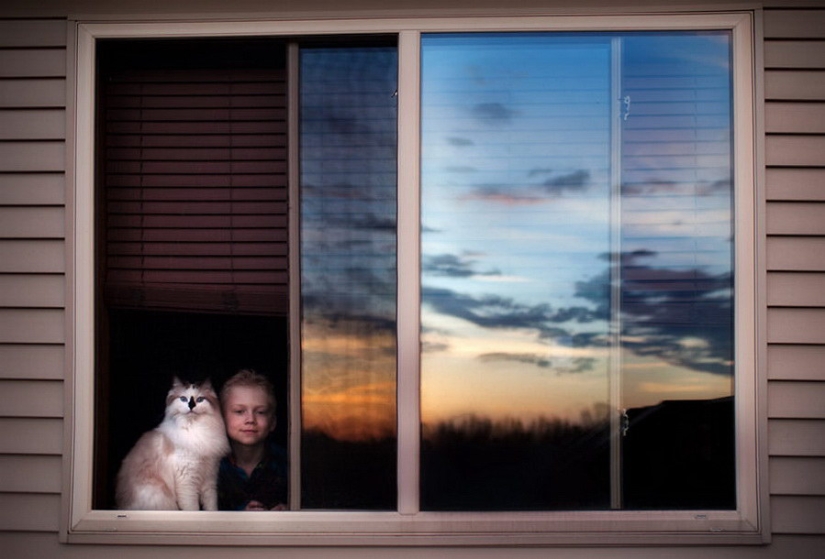 3+2. Niños y gatos fotografiados por Beth Mancuso