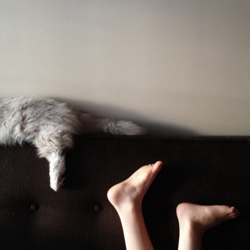 3+2. Niños y gatos fotografiados por Beth Mancuso