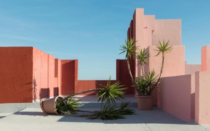 33 finalists of the Sony World Photography Awards 2017 photo contest 33 finalists of the Sony World Photography Awards 2017 photo contest