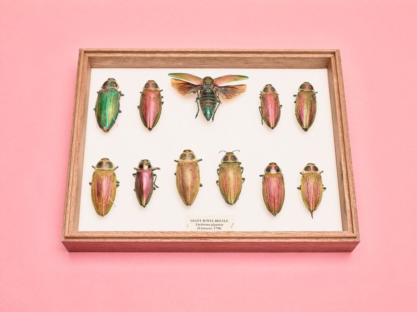 33 finalists of the Sony World Photography Awards 2017 photo contest 33 finalists of the Sony World Photography Awards 2017 photo contest