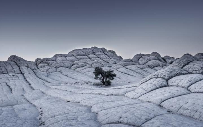 33 finalists of the Sony World Photography Awards 2017 photo contest 33 finalists of the Sony World Photography Awards 2017 photo contest