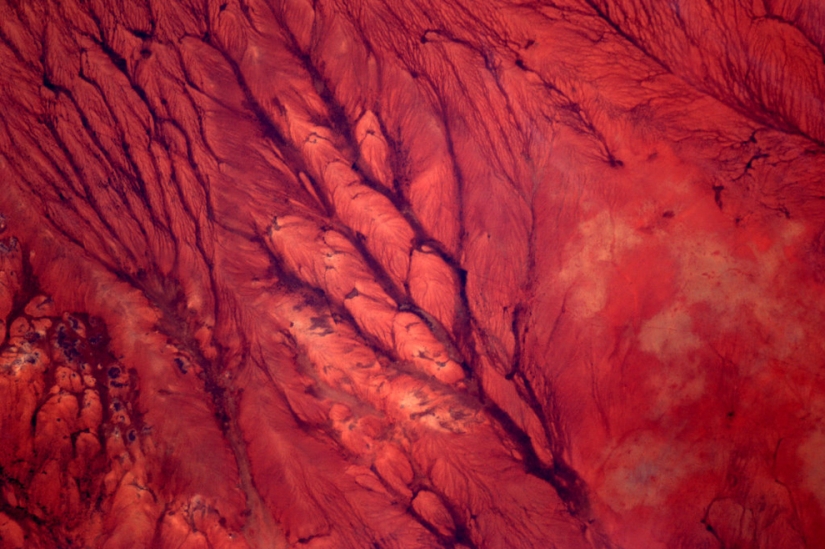 33 photos of the amazing planet Earth from space 33 photos of the amazing planet Earth from space