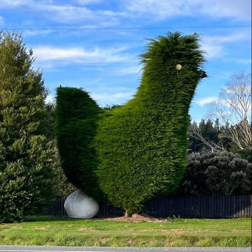 35 Times People Went Out Of Their Way To Make Their Gardens And Yards Unique But Ended Up With These