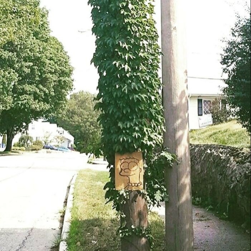 35 Times People Went Out Of Their Way To Make Their Gardens And Yards Unique But Ended Up With These