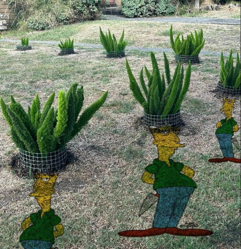 35 Times People Went Out Of Their Way To Make Their Gardens And Yards Unique But Ended Up With These