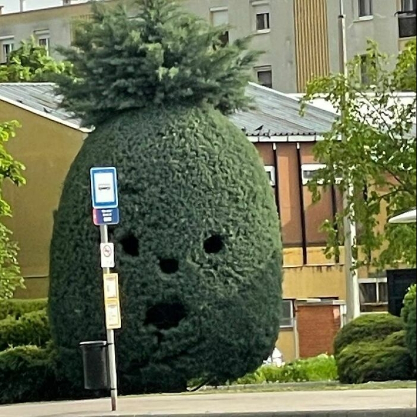 35 Times People Went Out Of Their Way To Make Their Gardens And Yards Unique But Ended Up With These