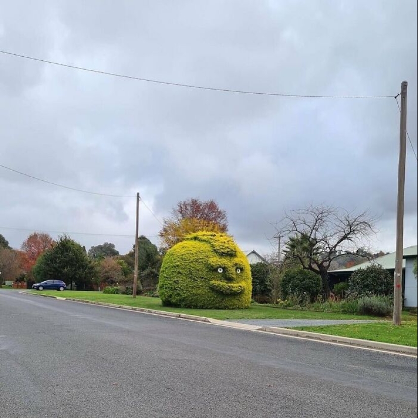 35 Times People Went Out Of Their Way To Make Their Gardens And Yards Unique But Ended Up With These
