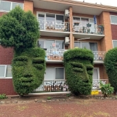 35 Times People Went Out Of Their Way To Make Their Gardens And Yards Unique But Ended Up With These