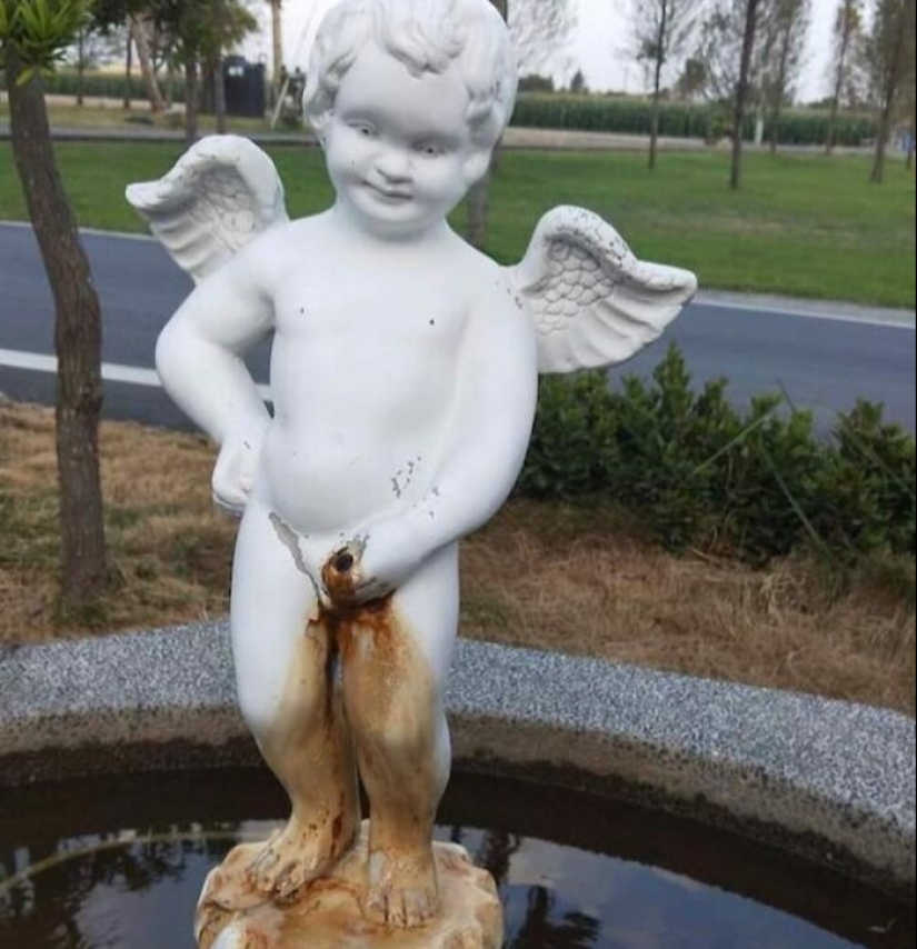 35 Times People Went Out Of Their Way To Make Their Gardens And Yards Unique But Ended Up With These