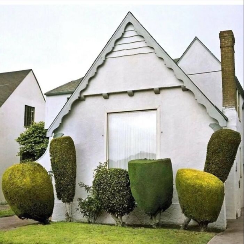 35 Times People Went Out Of Their Way To Make Their Gardens And Yards Unique But Ended Up With These