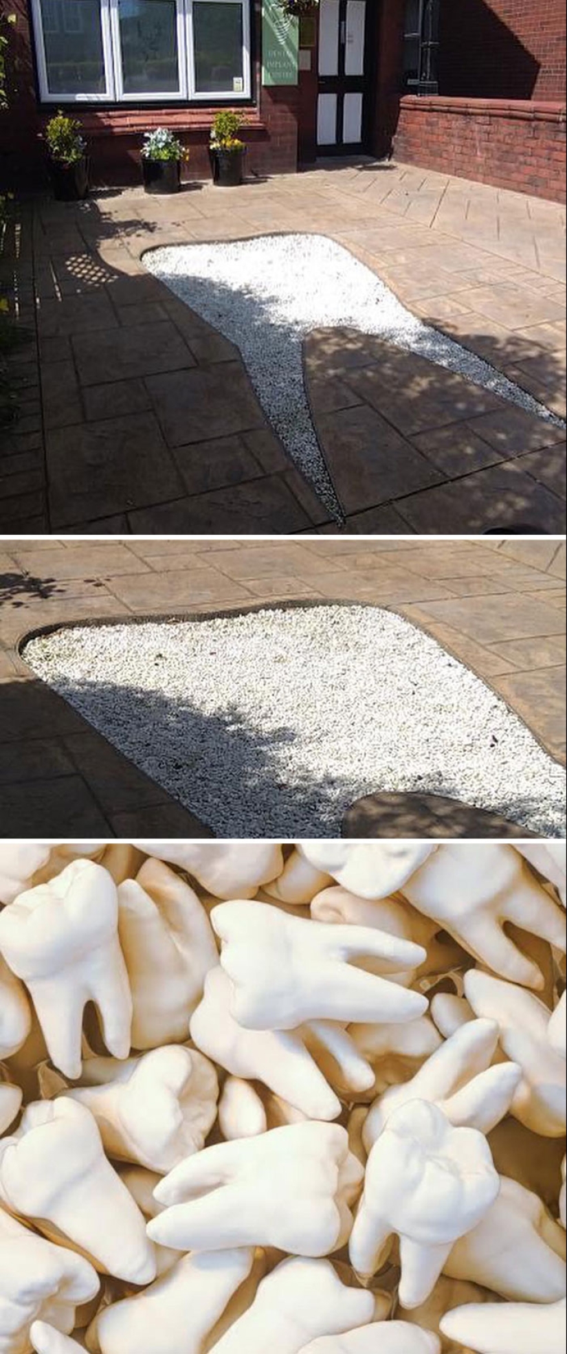 35 Times People Went Out Of Their Way To Make Their Gardens And Yards Unique But Ended Up With These