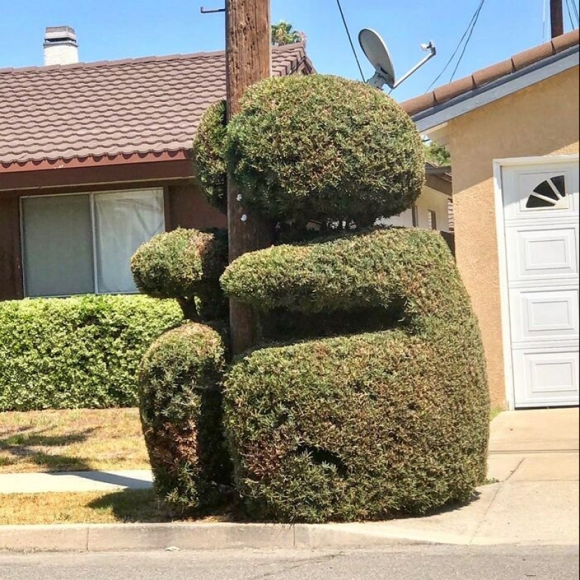 35 Times People Went Out Of Their Way To Make Their Gardens And Yards Unique But Ended Up With These