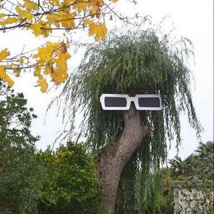 35 Times People Went Out Of Their Way To Make Their Gardens And Yards Unique But Ended Up With These