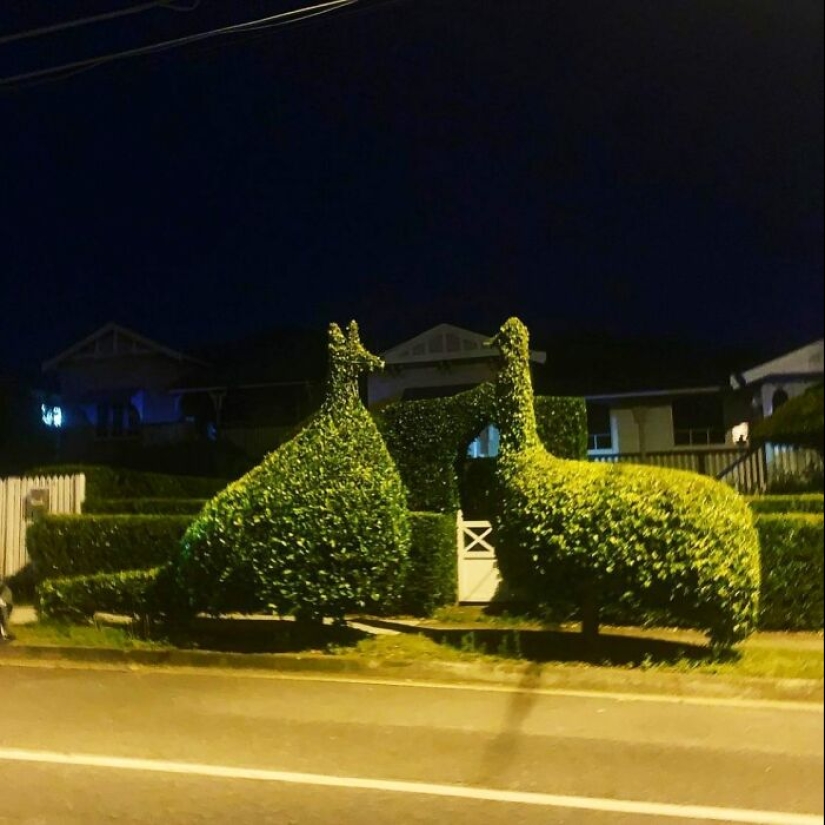 35 Times People Went Out Of Their Way To Make Their Gardens And Yards Unique But Ended Up With These