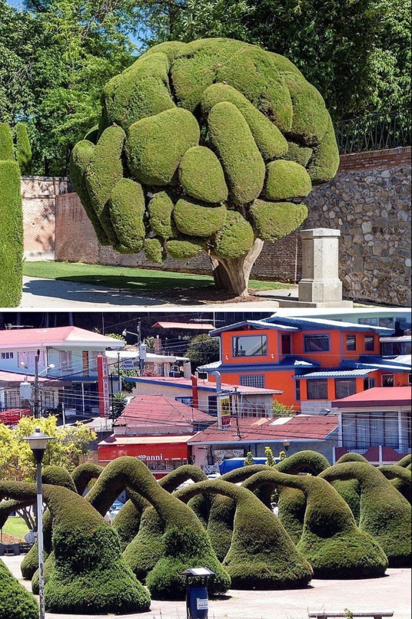 35 Times People Went Out Of Their Way To Make Their Gardens And Yards Unique But Ended Up With These