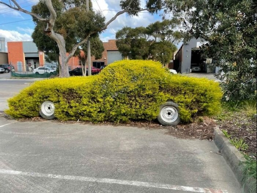 35 Times People Went Out Of Their Way To Make Their Gardens And Yards Unique But Ended Up With These