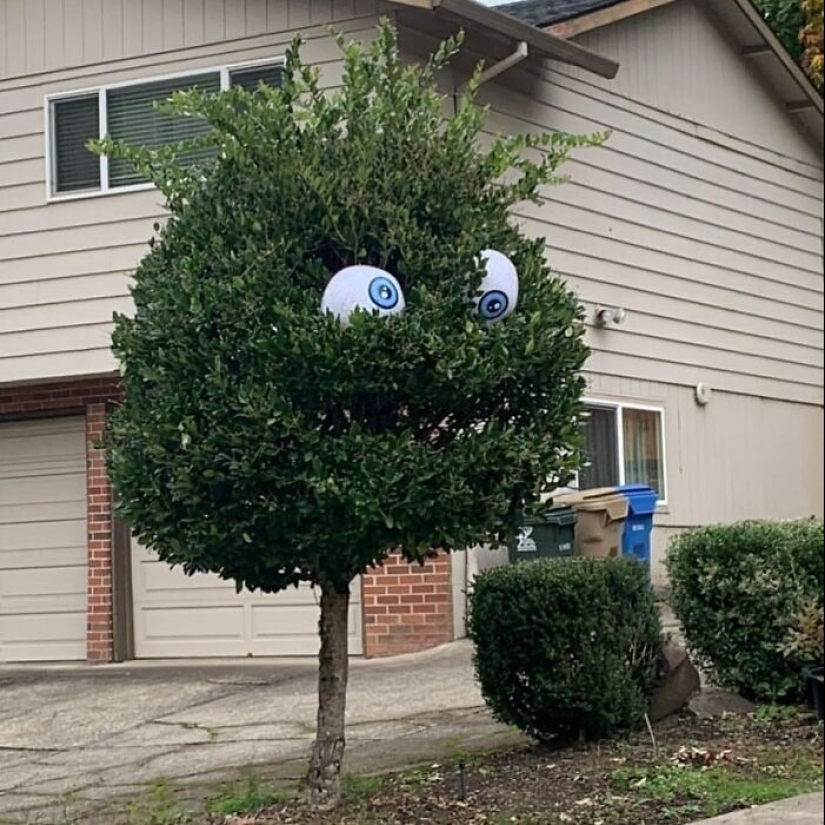 35 Times People Went Out Of Their Way To Make Their Gardens And Yards Unique But Ended Up With These
